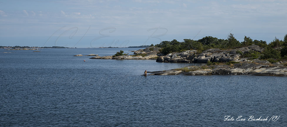 Foto av Eva Bucksch